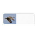 Search for cranes return address labels Sandhill crane