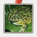 Search for amphibian christmas tree decorations Funny