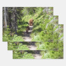 Search for yellowstone wrapping paper Nature