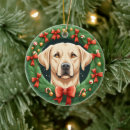 Search for labrador christmas tree decorations Dog lover