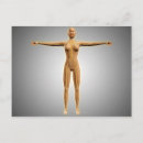 Search for human limb postcards Biomedical illustrations