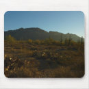Search for saguaro mouse mats Cacti
