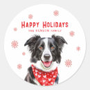 Search for dog owner stickers Border collie
