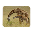 Search for game reserve magnets Kenya