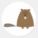 Search for cute beaver stickers Rodents