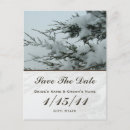 Search for winter wedding postcards Snow