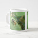 Search for macros mugs Insects