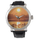Search for swan watches Lake