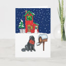 Search for newfoundland christmas cards Snow