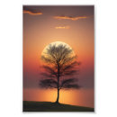 Search for sunset silhouette posters Peaceful