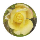 Search for designer cookware Botanical