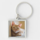 Search for couch key rings Animal