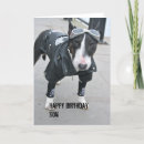 Search for goggle cards Animal