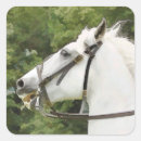 Search for white horse stickers Watercolor