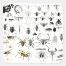 Search for entomology stickers Zoology