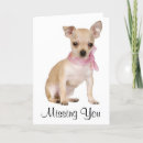 Search for chiwawa postcards Chewawa