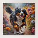 Search for bernese mountain dog puzzles Colourful