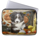 Search for australian shepherd electronics Funny