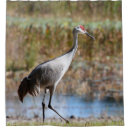 Search for crane shower curtains Bathroom