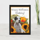 Search for puppy halloween cards Puppies