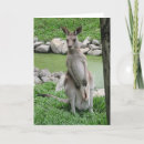 Search for australia cards Animal