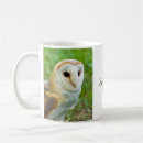 Search for barn owl mugs Birds of prey