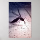 Search for bite posters Insect