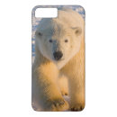 Search for ursus iphone cases Fauna