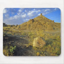 Search for badland mouse mats Scenic