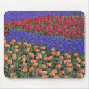 Search for hyacinth mouse mats Pink
