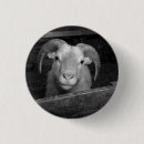 Search for sheep badges Farm