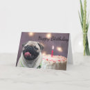 Search for funny pug birthday cards Happy
