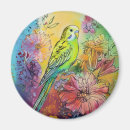 Search for parakeet magnets Budgerigar