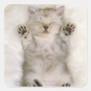 Search for angle stickers Close up