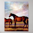 Search for foal posters Beautiful