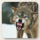 Search for anger barware Nature