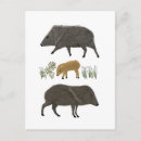 Search for portrait postcards Animals