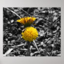 Search for early spring posters Nature
