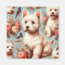 Search for highlander magnets Dog