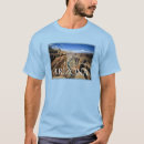Search for grand canyon tshirts United states