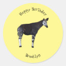 Search for small mammal stickers For kids