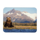 Search for ursus magnets Alaska
