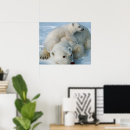 Search for cute polar bear art posters Bears