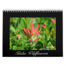 Search for daisies office supplies Wildflower
