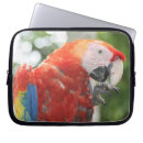 Search for scarlet macaw electronics Parrot