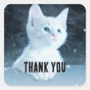 Search for cute white kitten stickers Feline