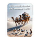 Search for caravan gifts Camels