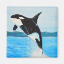 Search for orca magnets Blue