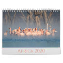 Search for cheetah calendars Africa
