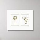 Search for palm tree canvas prints Botanical